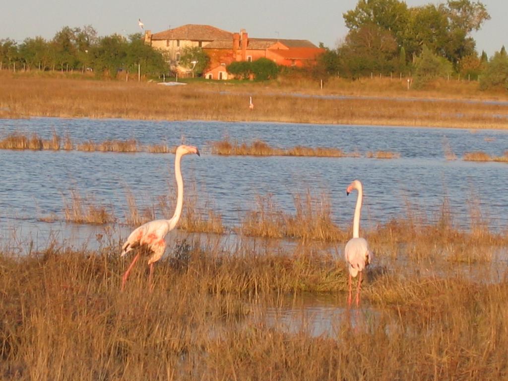 Agriturismo La Barena Jesolo Cameră foto
